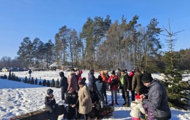 inbound9179289777770806013