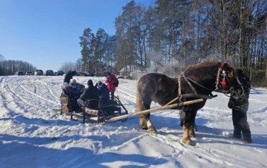 inbound3443989527387377455