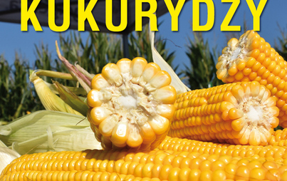 Zdjęcie do Podlaskie kukurydzą stoi - Krajowy Dzień Kukurydzy w Szepietowie - 11 września 2022 r.