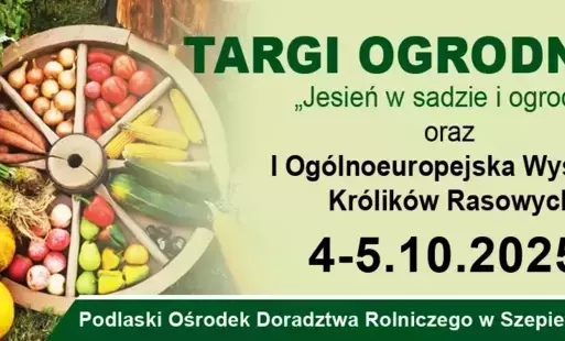 Zdjęcie artykułu z dnia 18-09-2025