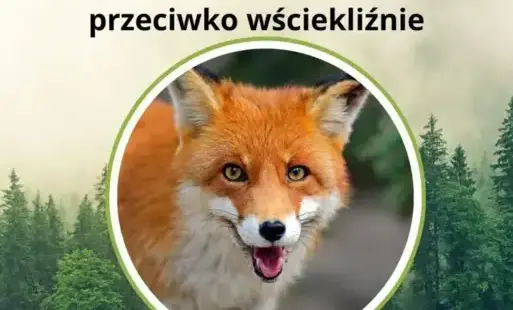 Zdjęcie artykułu z dnia 25-09-2025