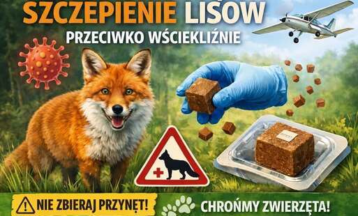Zdjęcie artykułu z dnia 05-06-2026