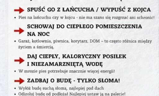 Zdjęcie artykułu z dnia 19-01-2026