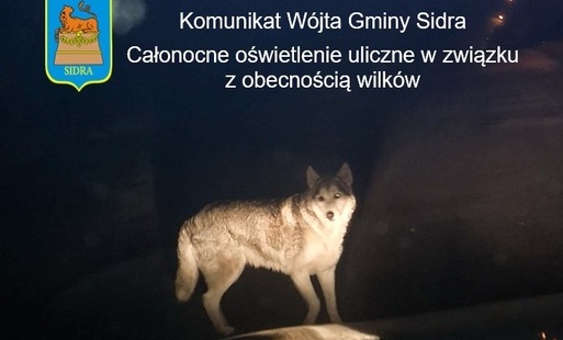 Zdjęcie do Komunikat W&oacute;jta Gminy Sidra - Całonocne oświetlenie uliczne w związku z obecnością wilk&oacute;w
